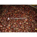 Chestnut segar Dandong terbaik